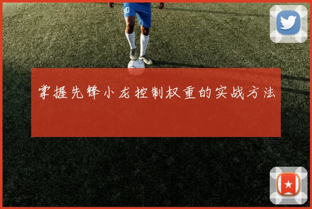 掌握先锋小龙控制权重的实战方法