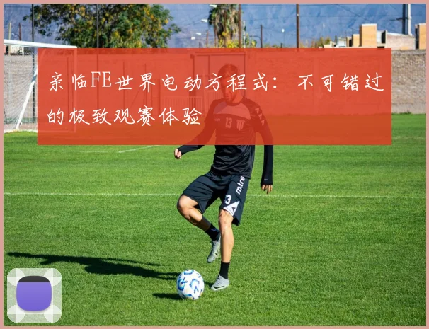 亲临FE世界电动方程式:不可错过的极致观赛体验