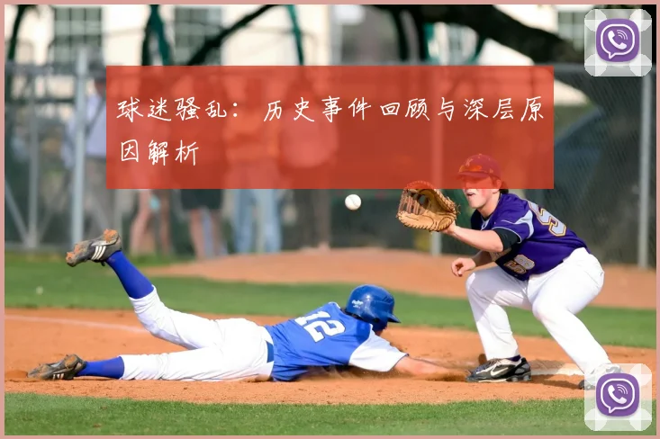 球迷骚乱：历史事件回顾与深层原因解析