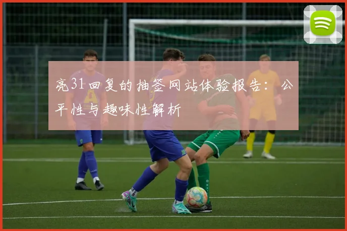 亮31回复的抽签网站体验报告:公平性与趣味性解析