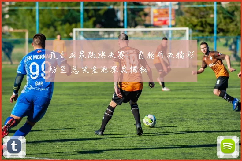 直击龙泉跳棋决赛：首轮对决精彩纷呈 总奖金池深度揭秘