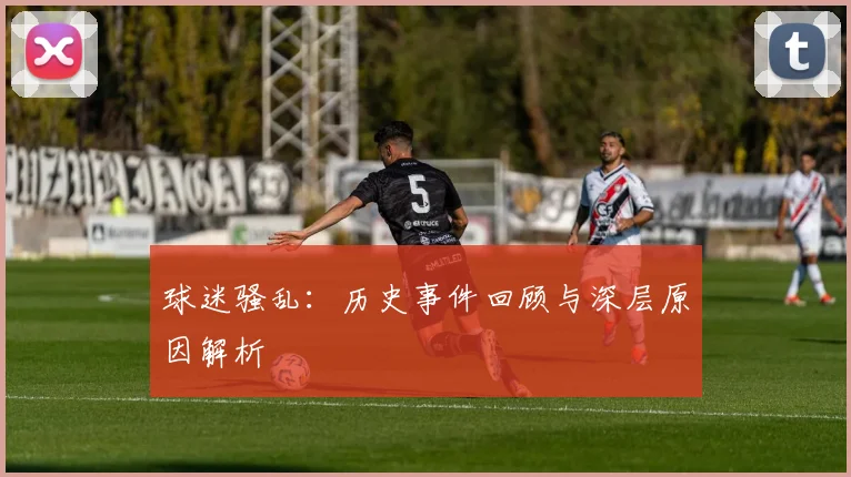 球迷骚乱：历史事件回顾与深层原因解析