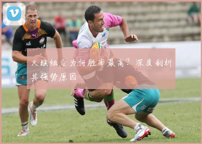 火猴组合为何胜率最高？深度剖析其强势原因